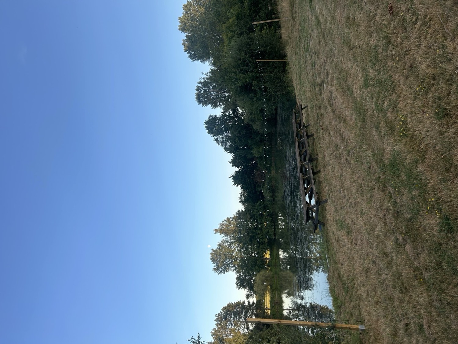 Picknicktafels aan de rand van de vijver, onder de lichtslingers