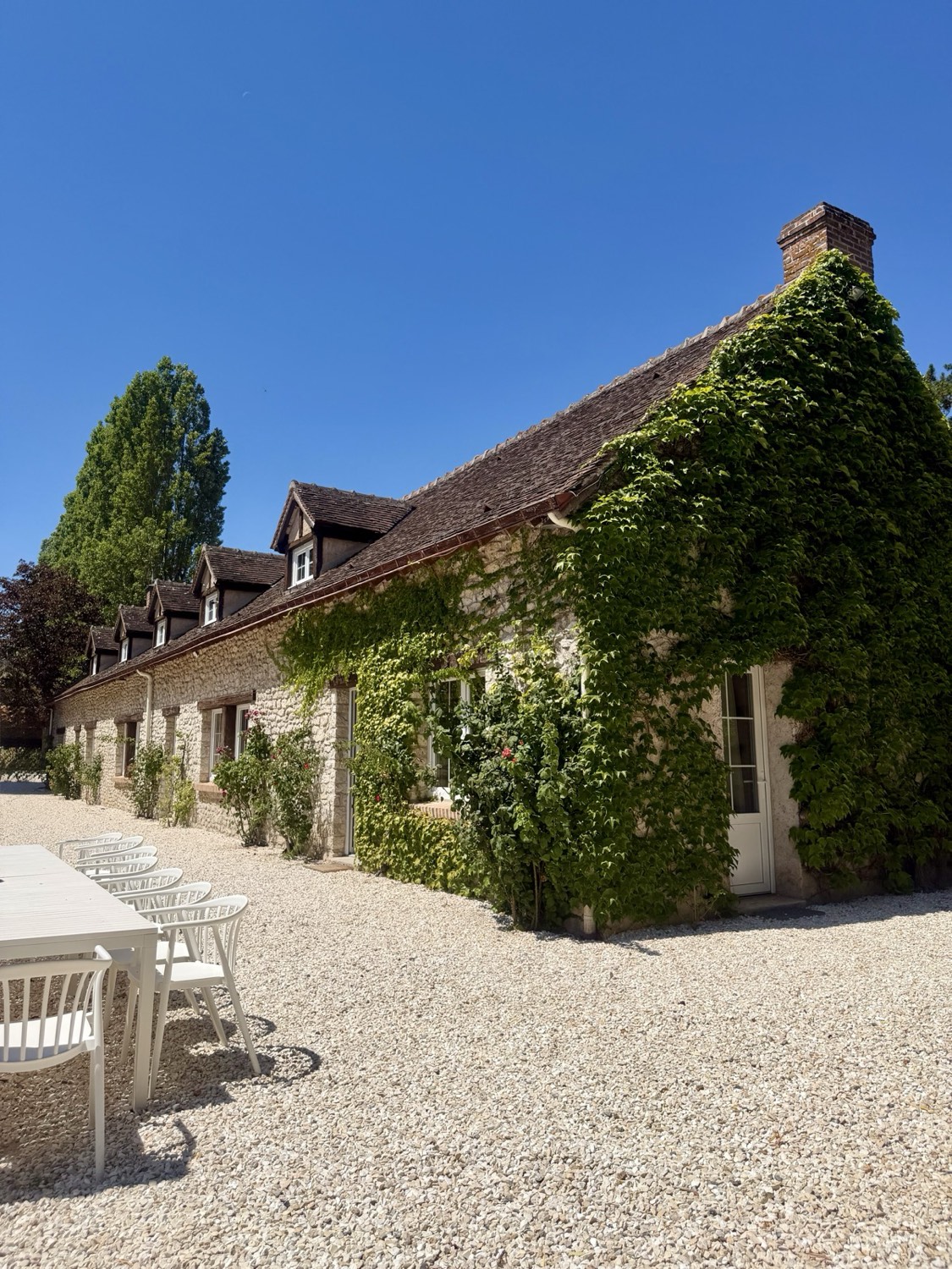 La façade en pierre de la longère, couverte de vigne